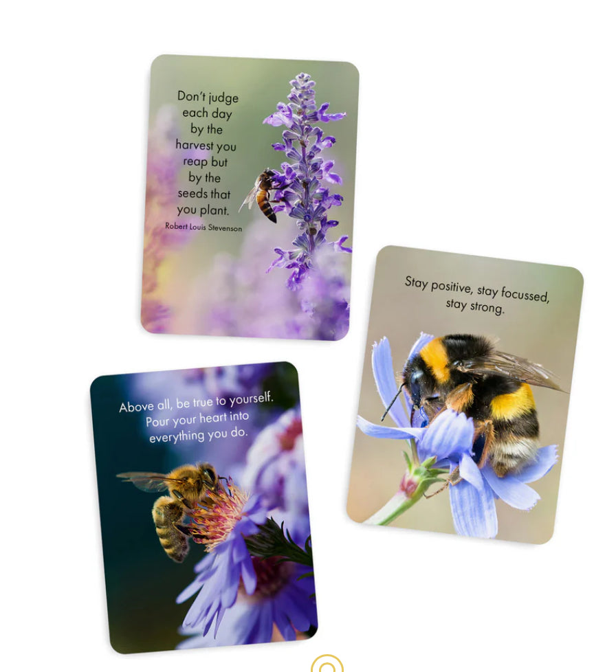 Just Bee affirmation box card set