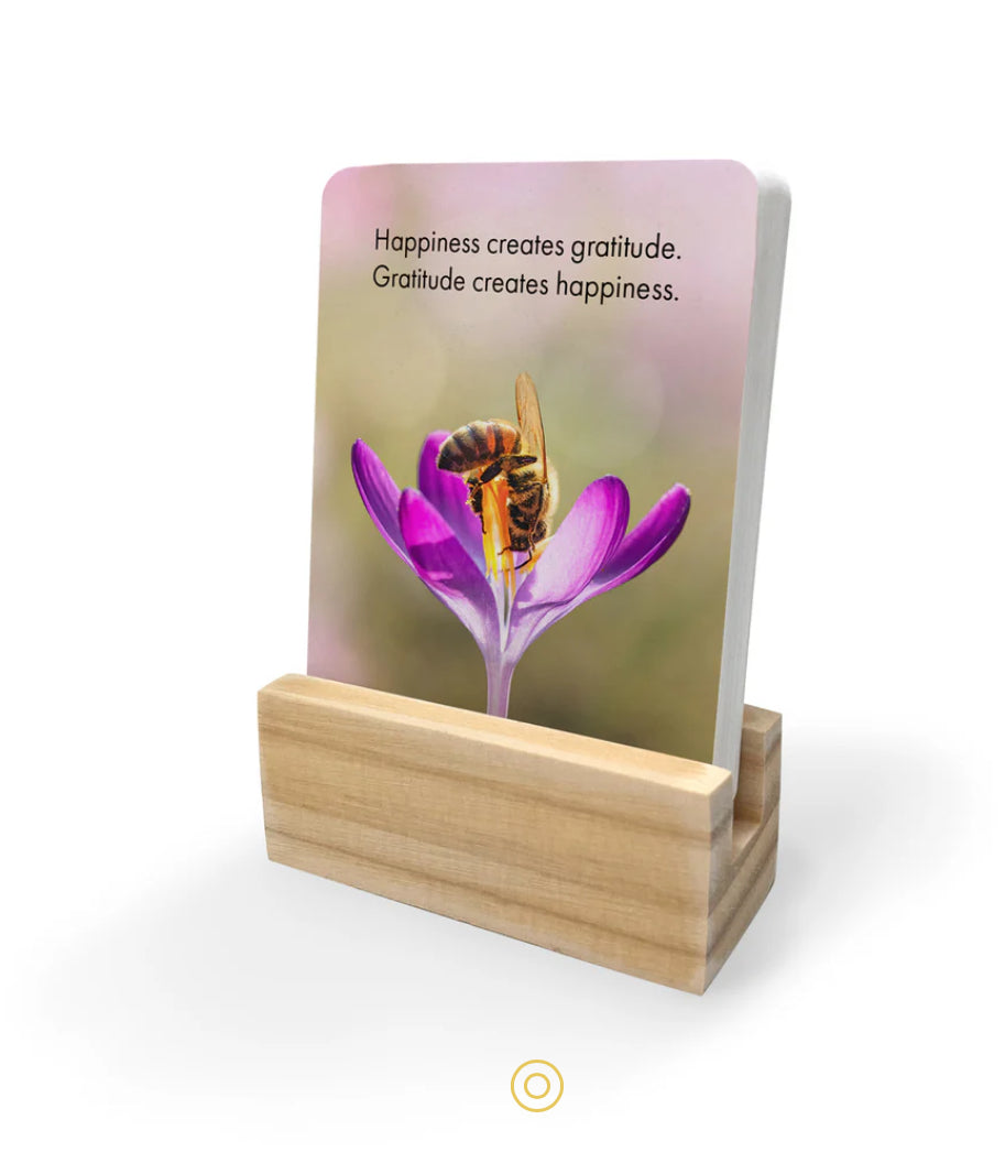 Just Bee affirmation box card set