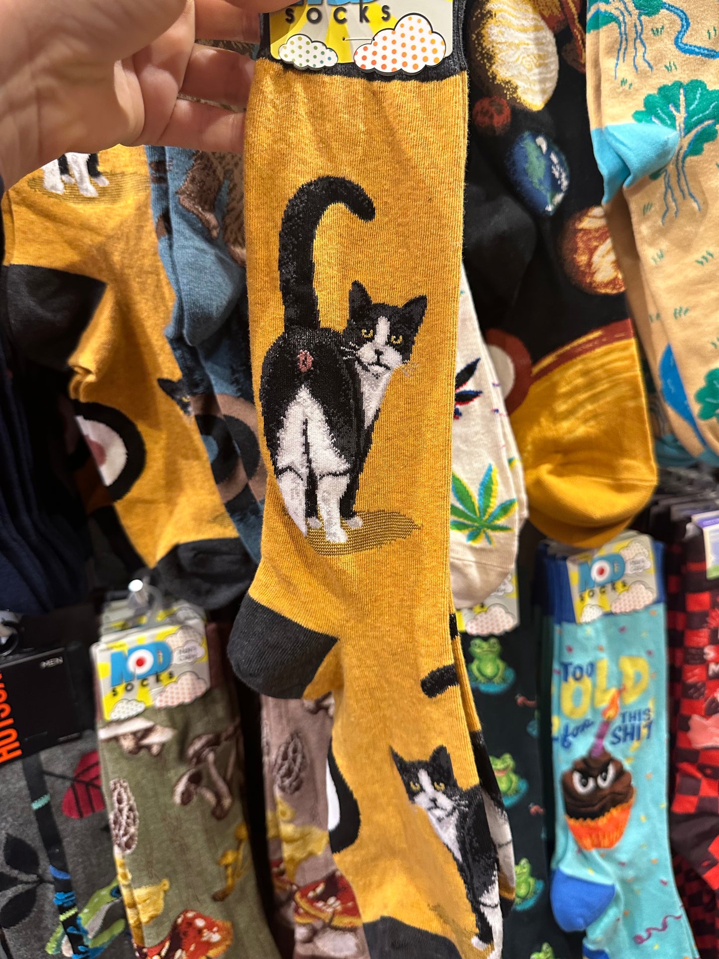 Fab fun socks and things