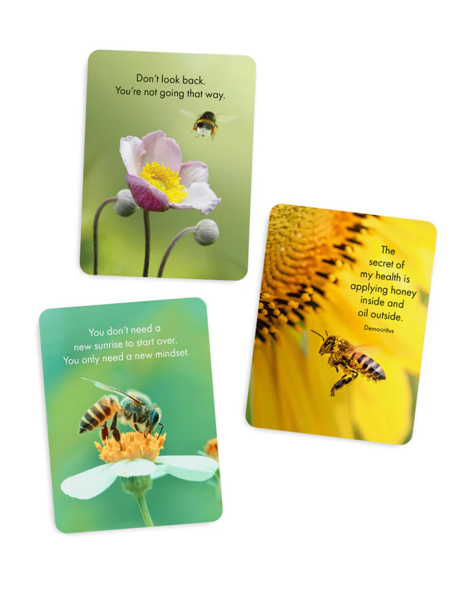 Bee Happy affirmation box card set