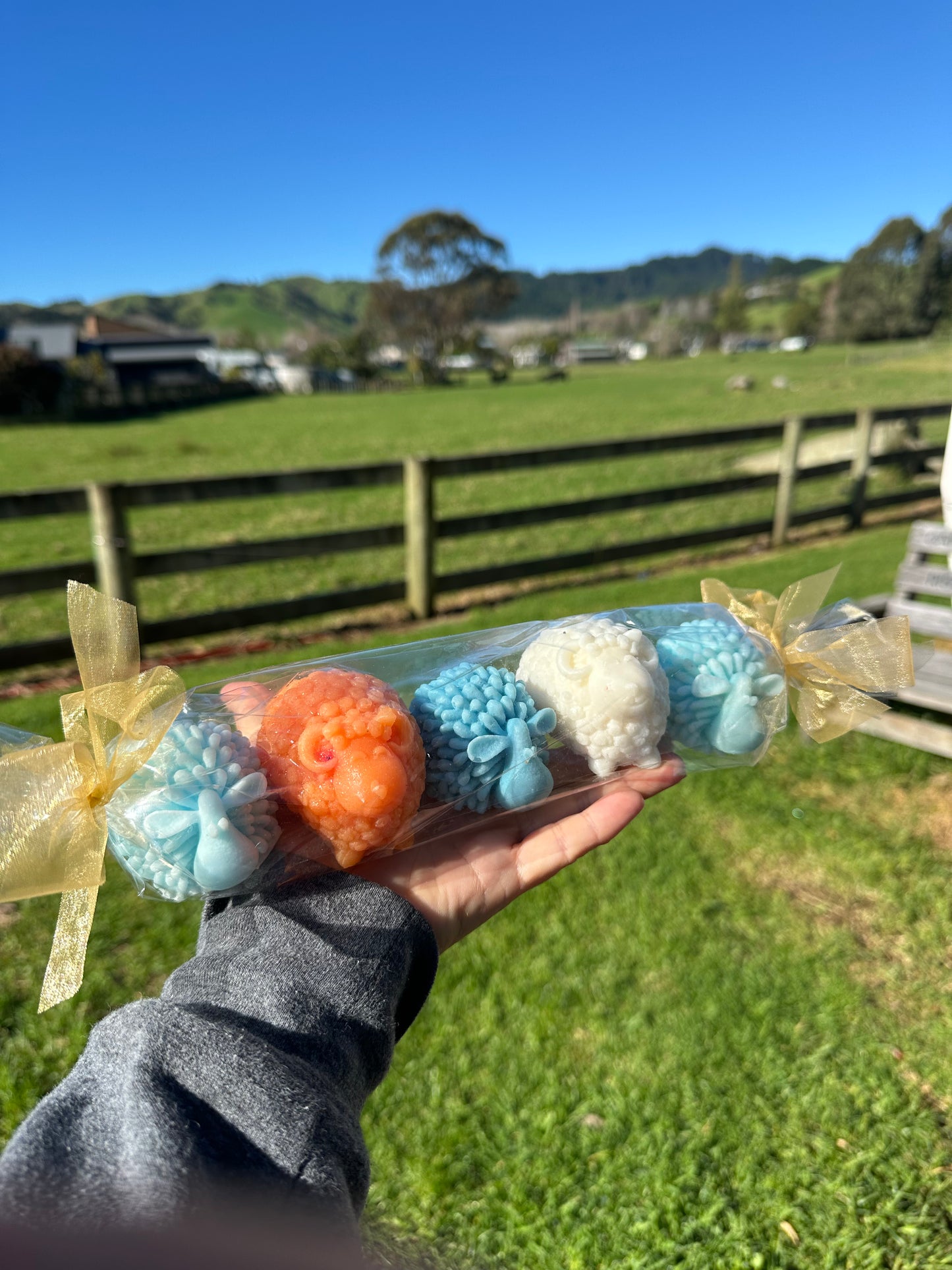 5 x soapy sheep for the BAAAThroom